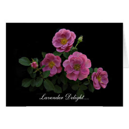 Rosen-Karten durch Stan das Roseman