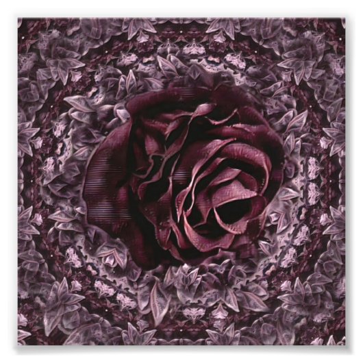 Rosen-Mandala Fotodruck (Vorne)