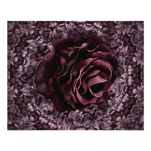 Rosen-Mandala Poster (Vorderseite)