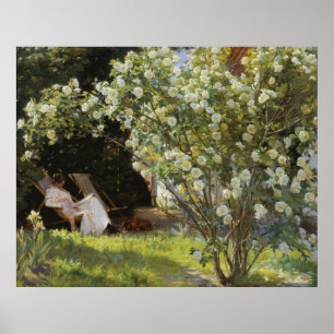 Rosen. Marie Krøyer sitzend im Liegestuhl Poster