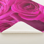 Rosen (Mittel), rosa Sherpadecke (3/4)