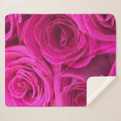 Rosen (Mittel), rosa Sherpadecke (Vorderseite (Horizontal))