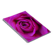 Rosen-Notizblock Notizblock (Rechte Seite)