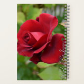 Rosen Notizbuch (Rückseite)