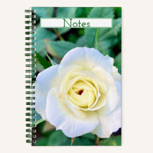 Rosen-Notizbuch, das auch ein Tagebuch sein kann. Notizblock