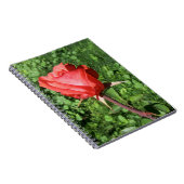 Rosen-Notizbuch Notizblock (Rechte Seite)