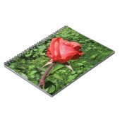 Rosen-Notizbuch Notizblock (Linke Seite)