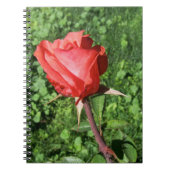 Rosen-Notizbuch Notizblock (Vorderseite)