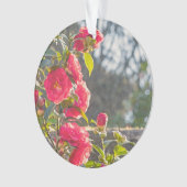Rosen ornament (Vorderseite)