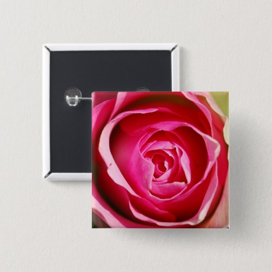 Rosen-Pedale Button (Vorne & Hinten)