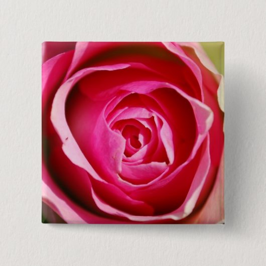 Rosen-Pedale Button (Vorderseite)