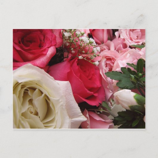 Rosen Postkarte (Vorderseite)