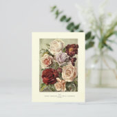 Rosen Postkarte (Stehend Vorderseite)