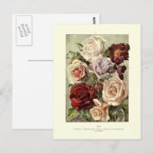 Rosen Postkarte (Vorne/Hinten)