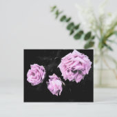 Rosen Postkarte (Stehend Vorderseite)