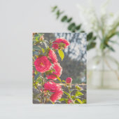 Rosen  postkarte (Stehend Vorderseite)