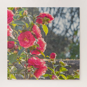 Rosen puzzle