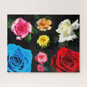 Rosen Puzzle