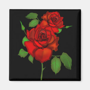 Rosen-Rot-Illustration Magnet