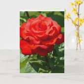 Rosen-Schönheit Karte (Gelbe Blume)
