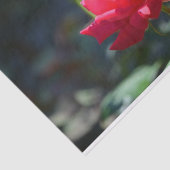 Rosen sind NY Staats-Blume Seidenpapier (Ausschnitt)