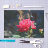 Rosen sind NY Staats-Blume Seidenpapier (Handwerk)