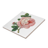 Rosen sind rosa fliese (Seite)
