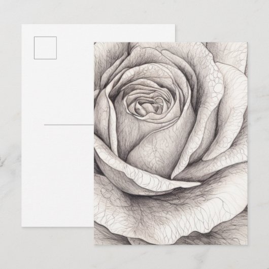 Rosen-Skizze Postkarte (Vorne/Hinten)