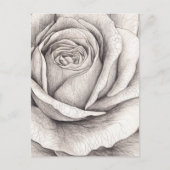Rosen-Skizze Postkarte (Vorderseite)