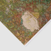 Rosen Tissuepapier Seidenpapier (Detail)