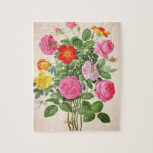 Rosen, überziehen 4 vom NassauFlorilegium (w/c an Puzzle