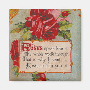 Rosen verkörpern Liebe Magnet