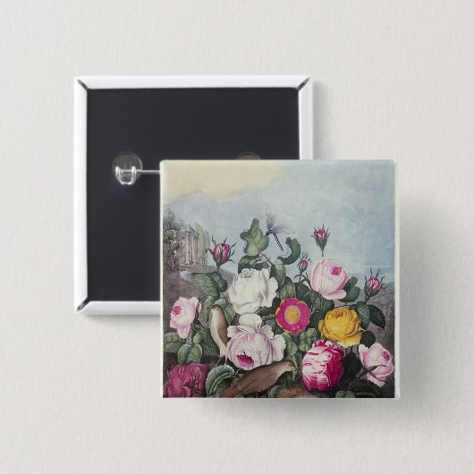 Rosen, 'vom Tempel von Flora Button (Vorne & Hinten)