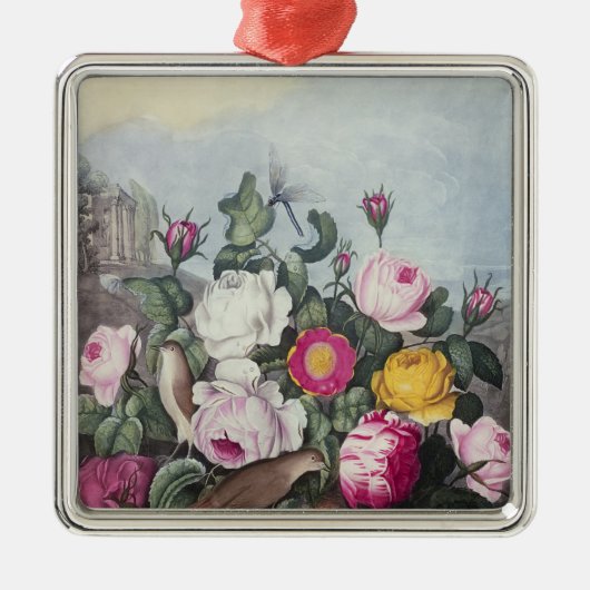 Rosen, 'vom Tempel von Flora Ornament Aus Metall (Vorne)