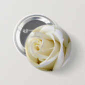 Rosen-Weiß Button (Vorne & Hinten)