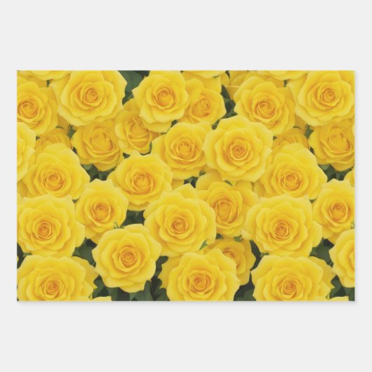 Rosen, weiß, rosa und gelb geschenkpapier set (Vorderseite 3)