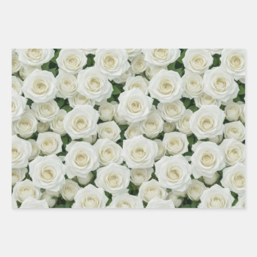 Rosen, weiß, rosa und gelb geschenkpapier set (Vorderseite)