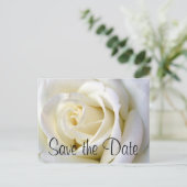 Rosen-Weiß, Save the Date Postkarte (Stehend Vorderseite)