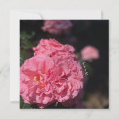 Rosenaufkleber Einladung (Vorderseite)