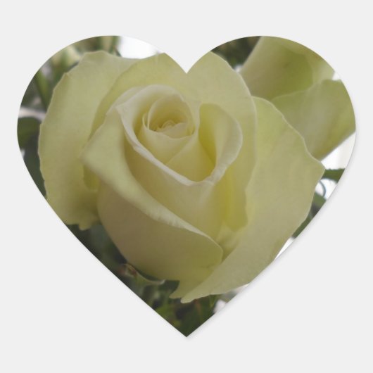 Rosenaufkleber Herz-Aufkleber (Vorderseite)