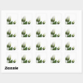 Rosenaufkleber Quadratischer Aufkleber (Blatt)