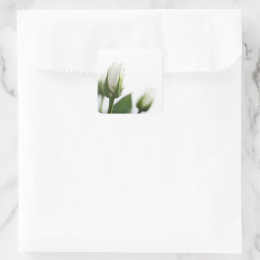 Rosenaufkleber Quadratischer Aufkleber (Tasche)