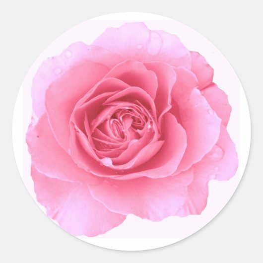 Rosenaufkleber Runder Aufkleber (Vorderseite)