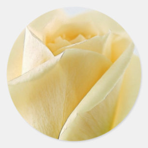 Rosenaufkleber und Umschlag Aufkleber