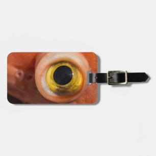 Rosenauge Gepäckanhänger