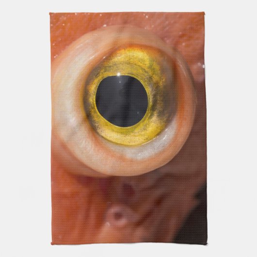 Rosenauge Geschirrtuch (Vertikal)