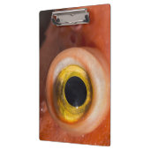 Rosenauge Klemmbrett (Links)