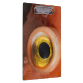 Rosenauge Klemmbrett (Rechts)