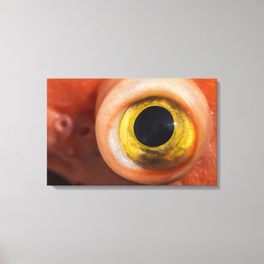 Rosenauge Leinwanddruck (Vorderseite)