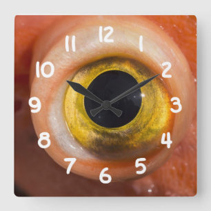 Rosenauge Quadratische Wanduhr